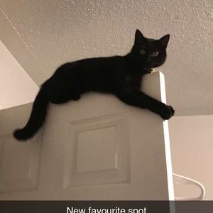 Meet your Posher, Shauna